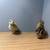 Coturnix quail 6 thumbnail