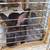 Pets Rabbits 2 thumbnail