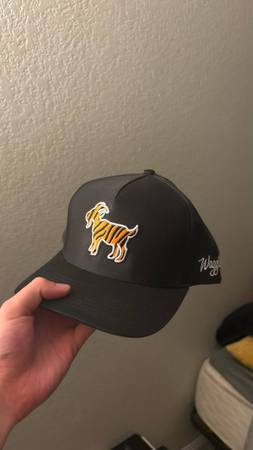 Waggle cap 1