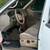 2002 Ford F-150 v8 7 thumbnail