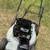 Mowers 1 thumbnail