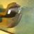 1992 to 1999 BIAZER,TAHOE,SUBURBAN,GMC, YUKON, lnner fender set 2 thumbnail
