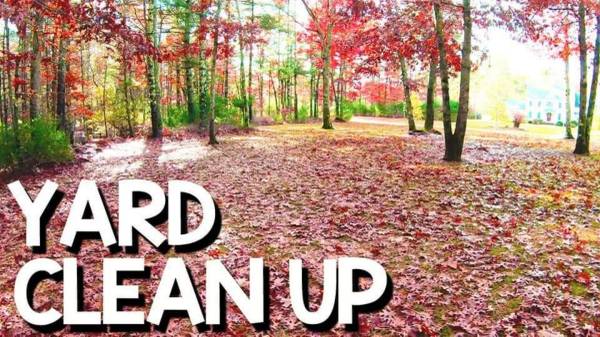 Landscape services 1