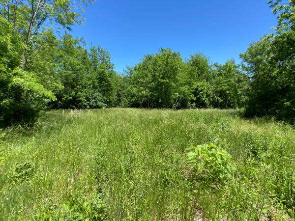 $1 20 Acre Auction - Fulton63845292792323124
