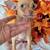 TINY CHIHUAHUAS PUPPIES 4 thumbnail