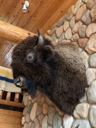 Buffalo Mount 1