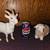 Nativity Scene, Large Figures 18 thumbnail