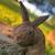 Redback Rabbit 6 thumbnail