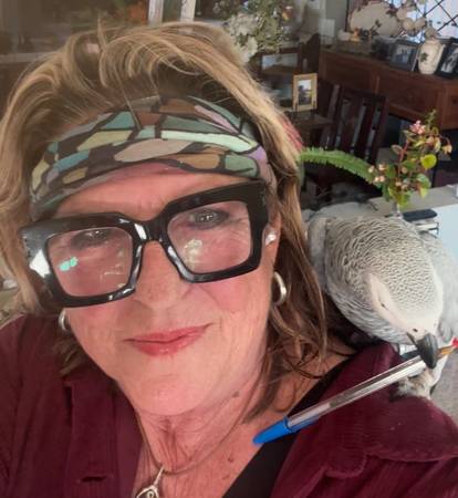 Do you need help with a letter, contract or dispute? 1