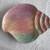 china seashell salt and pepper shakers, canapé plates 3 thumbnail