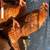 Laying PULLETS 3 thumbnail