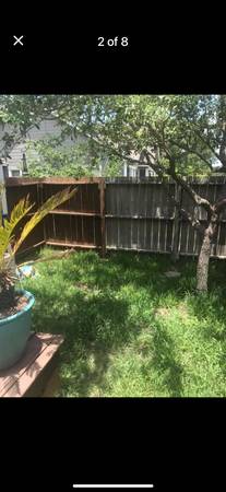 $950 / 1br - 600ft2 - Cottage (Corpus Christi, TX)64036542413187121