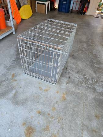 large dog crate 1