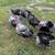 Adult Heritage Narragansett Turkeys For Sale 2 thumbnail