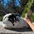 Rabbits 4 thumbnail