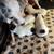 Tiny toy poodle puppy's 2 thumbnail