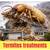 Termite pest control specialist 1 thumbnail