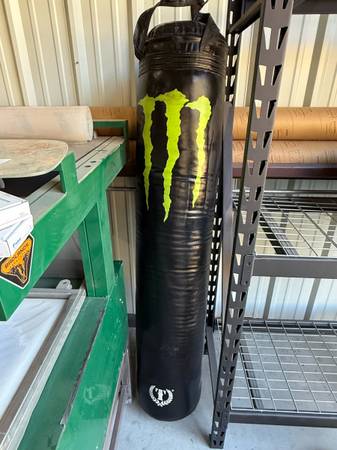Muay thai punching bag 1
