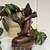 Small Bronze Tibetan Statue 2 thumbnail