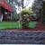 Yard Work, Trim, Bark, Clean up, retaining wall, paver 6 thumbnail