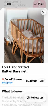 Bamboo bassinet with canopy 1