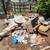 4709200820 🚛 SAME DAY Junk Removal! FREE QUOTES! 9 thumbnail