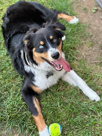 Titan (Santee)63819964930819120