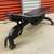 Ethos Utility weight Bench multiple positions weights not included 6 thumbnail
