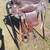 12 inch pony saddle 2 thumbnail