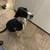Pet sitter, pet boarding, dog sitter  $20.00 coupon  on 1st rover booking 6 thumbnail