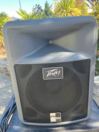 PEAVEY PR12 1