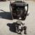 Backpack blower 3 thumbnail