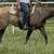 Mare 2 thumbnail