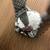 Michele Serein Diamond watch 4 thumbnail