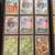 POKEMON CARD COLLECTION! 17 thumbnail