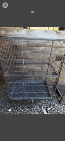 Birdcage 1