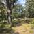 1 Acre Tracts Available Now W/ Utilities! 4 thumbnail