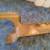 1971 - 73 Chevy Vega Upper Header Panel 5 thumbnail