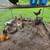 Egg layer  roosters 2 thumbnail