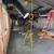 BASEMENT FINISHING  /   LICENSED CLASS-B & INSURED 7 thumbnail