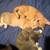 3 kittens 2 thumbnail