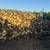 Orange firewood 2 thumbnail