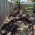 Julios Landscaping 15 thumbnail
