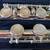 Powell PS-101 Flute NEW Complete 6 thumbnail