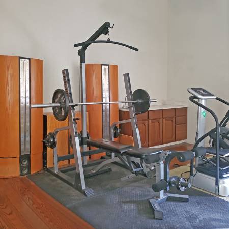 Squat Rack and Cable System 1