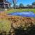(INEXPENSIVE)Fall CLEANUP, Fall CLEANUP, Fall CLEANUP 3 thumbnail