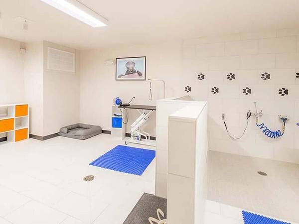 $2,885 / 2br - 1161ft2 - Minutes from Observatory Park & Washington Park, Wood Style Flooring (University Park)64143967892481124