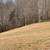 35 ac Farm 18 thumbnail