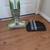 Bissell CrossWave Multi-Surface wet/dry vacuum 3 thumbnail