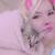 Missing Kitty 3 thumbnail